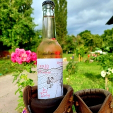 Rosé Weinschorle Bio